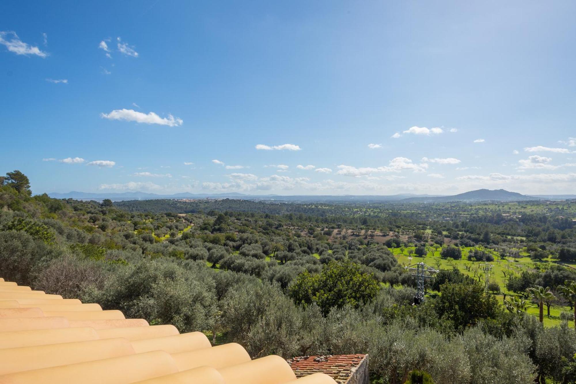 Finca Es Castell Binibona Kültér fotó
