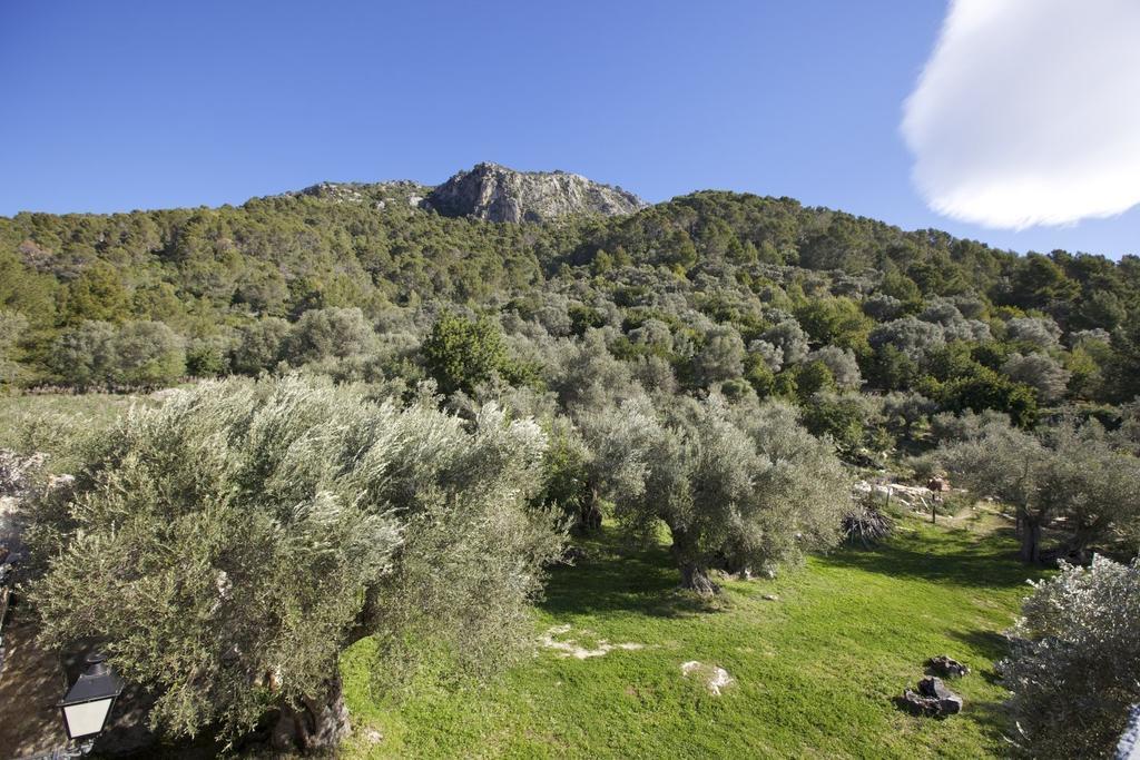 Finca Es Castell Binibona Kültér fotó